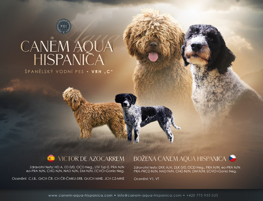 Canem Aqua Hispanica III.jpg
